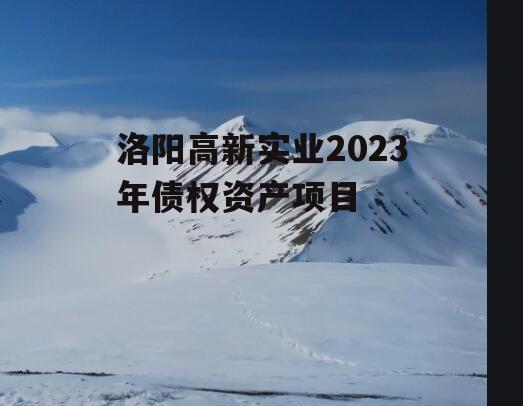 洛阳高新实业2023年债权资产项目