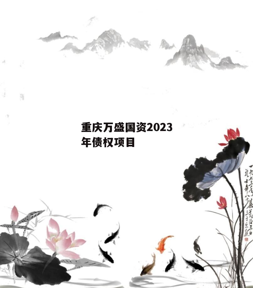 重庆万盛国资2023年债权项目