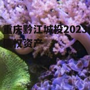 重庆黔江城投2023债权资产