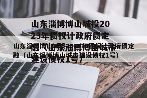 山东淄博博山城投2023年债权计政府债定融（山东淄博博山城市建设债权1号）