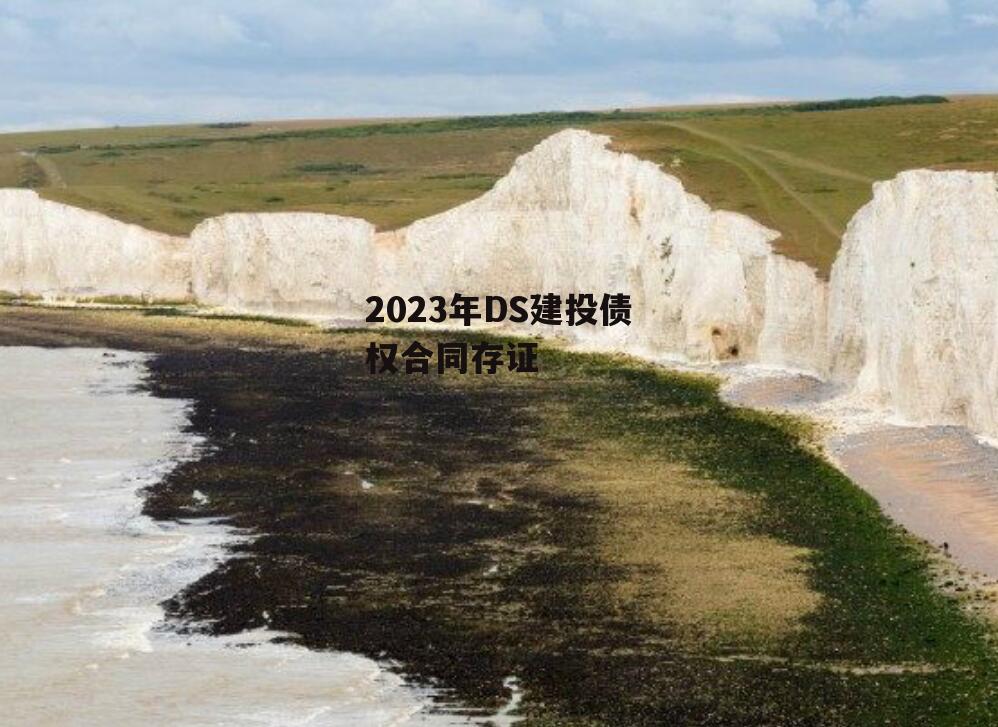 2023年DS建投债权合同存证