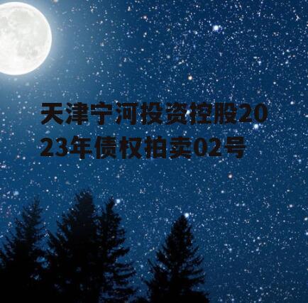 天津宁河投资控股2023年债权拍卖02号