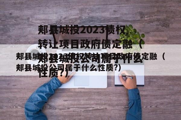 郏县城投2023债权转让项目政府债定融（郏县城投公司属于什么性质?）