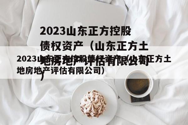 2023山东正方控股债权资产（山东正方土地房地产评估有限公司）