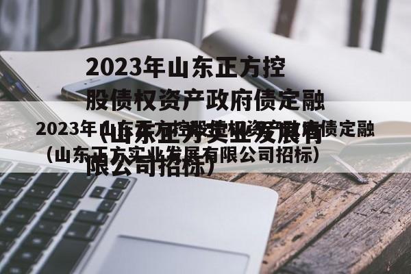 2023年山东正方控股债权资产政府债定融（山东正方实业发展有限公司招标）