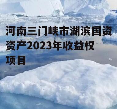 河南三门峡市湖滨国资资产2023年收益权项目