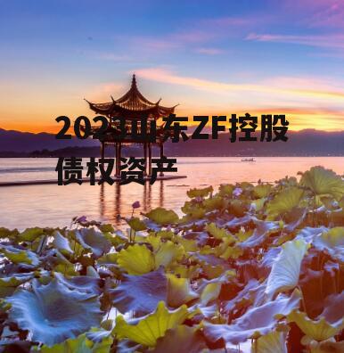 2023山东ZF控股债权资产