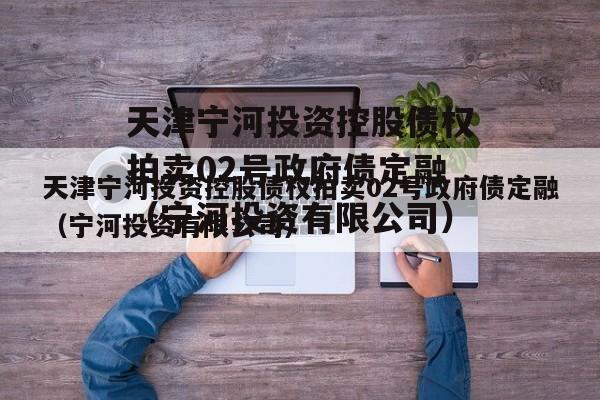 天津宁河投资控股债权拍卖02号政府债定融（宁河投资有限公司）