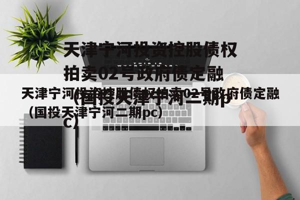 天津宁河投资控股债权拍卖02号政府债定融（国投天津宁河二期pc）