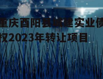 重庆酉阳县城建实业债权2023年转让项目