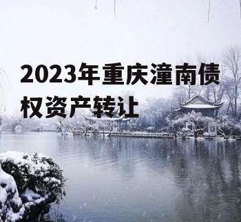 2023年重庆潼南债权资产转让