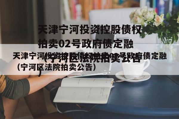 天津宁河投资控股债权拍卖02号政府债定融（宁河区法院拍卖公告）