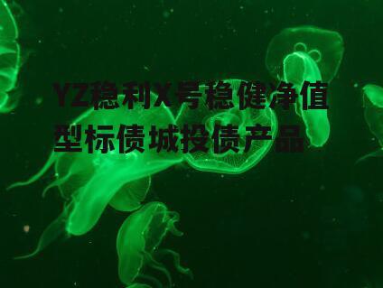 YZ稳利X号稳健净值型标债城投债产品