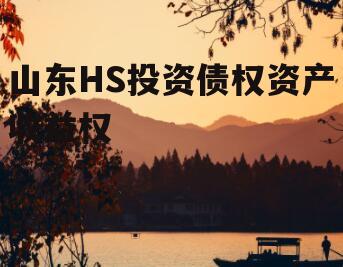 山东HS投资债权资产收益权