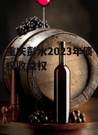 重庆彭水2023年债权收益权