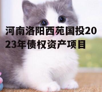 河南洛阳西苑国投2023年债权资产项目