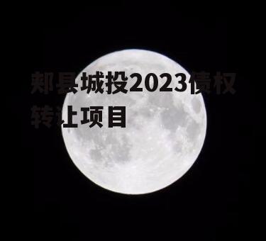 郏县城投2023债权转让项目