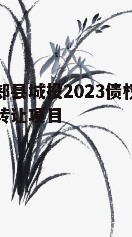 郏县城投2023债权转让项目