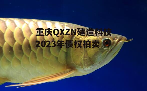 重庆QXZN建造科技2023年债权拍卖