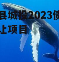 郏县城投2023债权转让项目