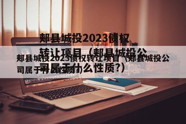 郏县城投2023债权转让项目（郏县城投公司属于什么性质?）