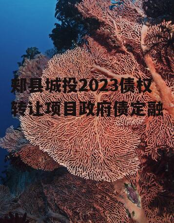 郏县城投2023债权转让项目政府债定融