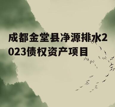 成都金堂县净源排水2023债权资产项目