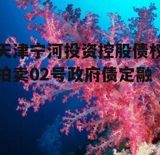 天津宁河投资控股债权拍卖02号政府债定融