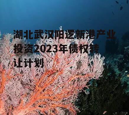 湖北武汉阳逻新港产业投资2023年债权转让计划