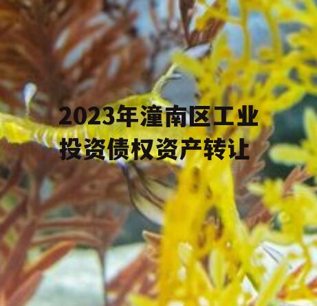 2023年潼南区工业投资债权资产转让