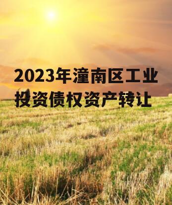 2023年潼南区工业投资债权资产转让