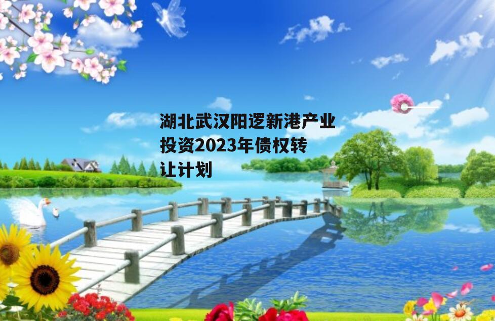 湖北武汉阳逻新港产业投资2023年债权转让计划