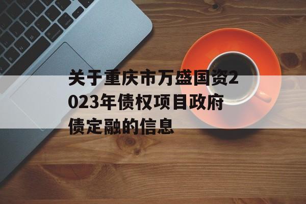 关于重庆市万盛国资2023年债权项目政府债定融的信息