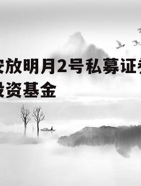 安放明月2号私募证券投资基金