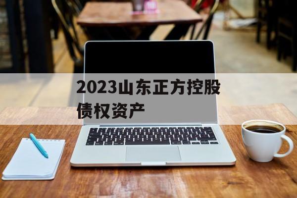 2023山东正方控股债权资产