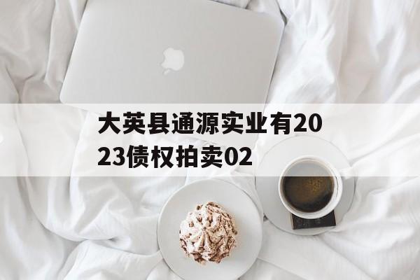 大英县通源实业有2023债权拍卖02