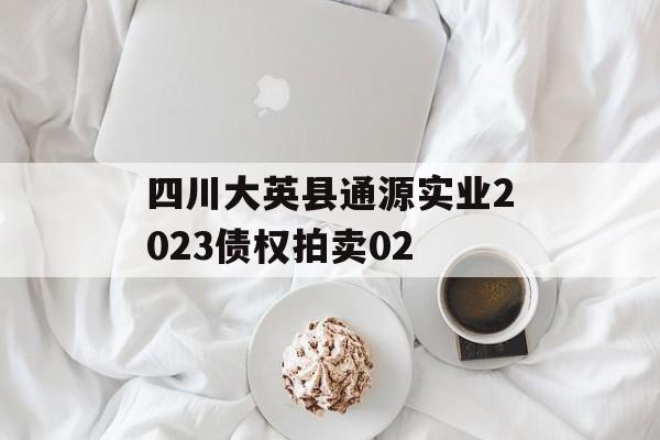 四川大英县通源实业2023债权拍卖02