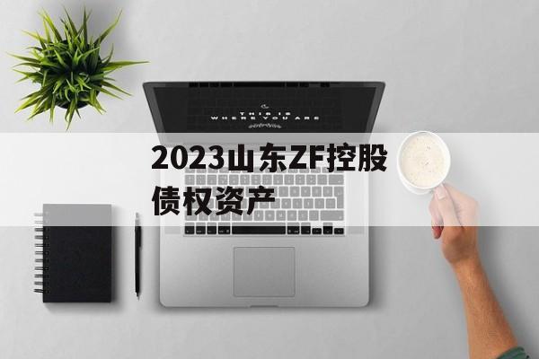 2023山东ZF控股债权资产