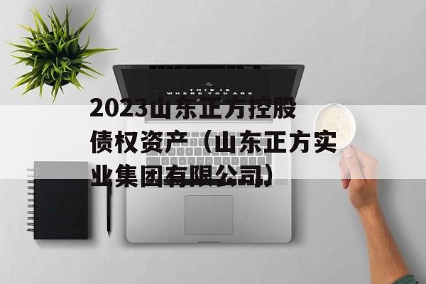 2023山东正方控股债权资产（山东正方实业集团有限公司）