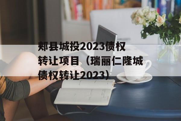 郏县城投2023债权转让项目（瑞丽仁隆城债权转让2023）