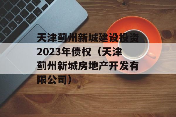 天津蓟州新城建设投资2023年债权（天津蓟州新城房地产开发有限公司）