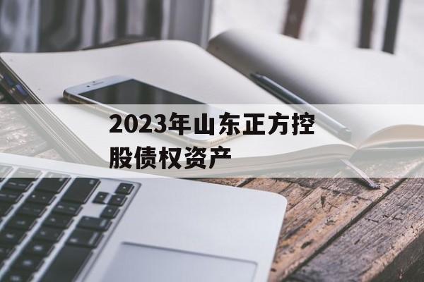 2023年山东正方控股债权资产