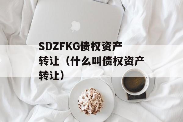 SDZFKG债权资产转让（什么叫债权资产转让）