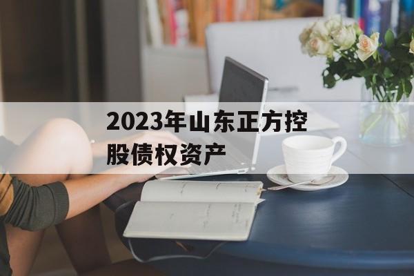 2023年山东正方控股债权资产