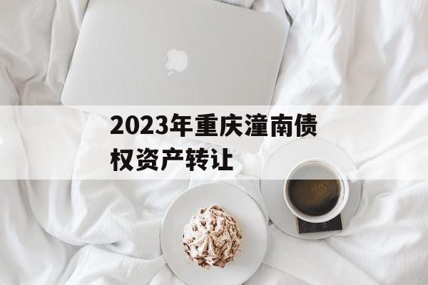 2023年重庆潼南债权资产转让