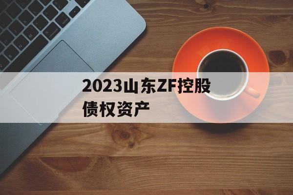 2023山东ZF控股债权资产