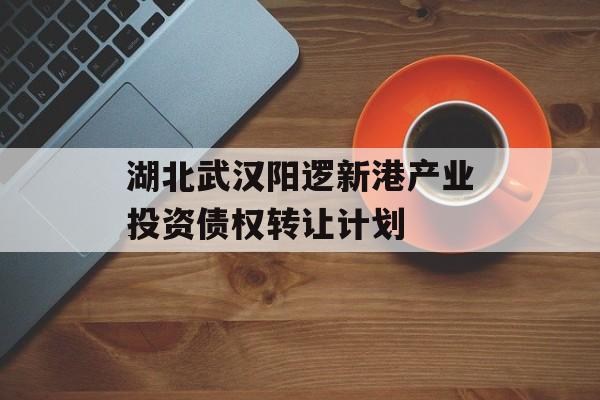 湖北武汉阳逻新港产业投资债权转让计划