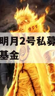 安放明月2号私募证券投资基金