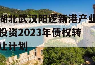 湖北武汉阳逻新港产业投资2023年债权转让计划