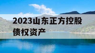 2023山东正方控股债权资产